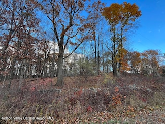 1154 Cold Spring Rd, Red Hook, NY 12571