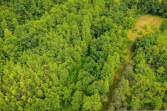 165 Pomeroyton-Wellington Rd, Wellington, KY 40387