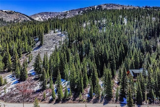 132 Red Fox Ct Unit 68, Breckenridge, CO 80424