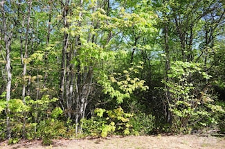 99999 Mountain Falls Trail Unit 71, Black Mountain, NC 28711