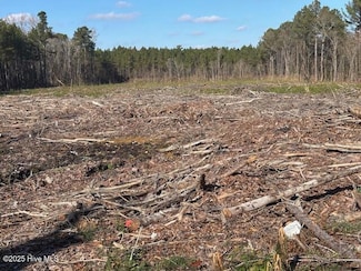 0 Crepe Myrtle Unit 100543899, Wilson, NC 27896