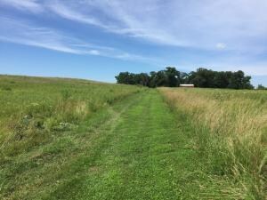 0 231st St Parcel, Letts, IA 52216