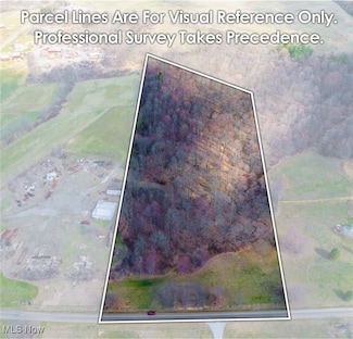 0 Arney Rd, Paint Township, OH 44662