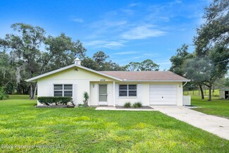 16736 Richloam Ln, Spring Hill, FL 34610