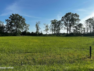 Lot 31 Catfish Ln, Crump, TN 38327