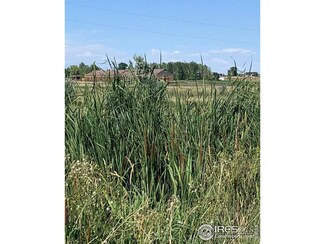 102 N County Road 23, Berthoud, CO 80513