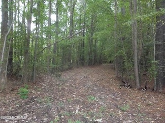 867 Tulls Creek Rd, Moyock, NC 27958
