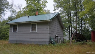 113 Paint Lake Loop, Iron River Township, MI 49935