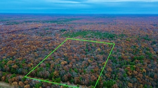 V/L Camp Rd, Free Soil, MI 49411