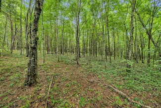 0 Eli Rd, Bon Aqua, TN 37025