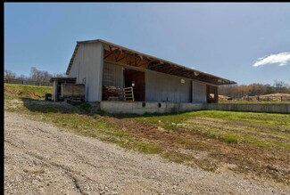 11002-3 Stulltown Rd, Owingsville, KY 40360