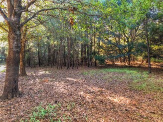 0 Brown Hill Rd Unit 19032650, McClellanville, SC 29458