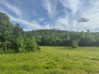 Tract 3 Jaymeson Rd, Oden, AR 71961