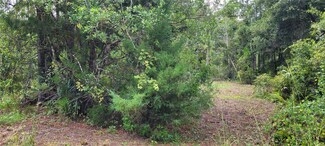 2828 Forest Park St, Bunnell, FL 32110