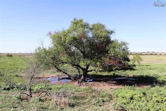 225 Acres Farm To Market Road 171, Byers, TX 76357