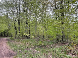 TBD Harborview Lot 7 & 8 Dr, Munising, MI 49862