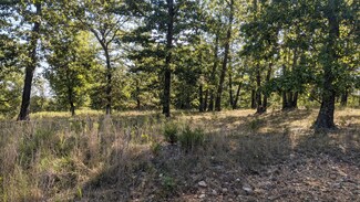 000 Long View Point, Swan Township, MO 65653