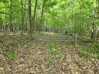 4500 W Wise Rd, Greenville, MI 48884