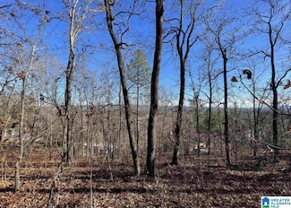 1429 Hilltop Terrace, Moody, AL 35004