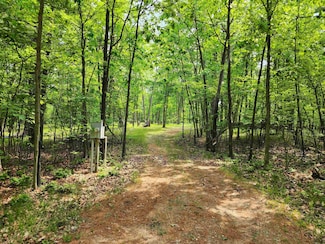 Lot 1340 Pine Run Dr, Lincoln Township, MI 48622