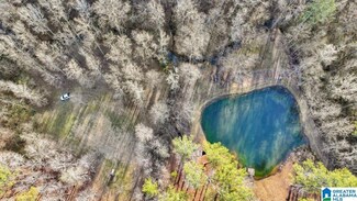 4501 Brookforest Ln, Birmingham, AL 35210