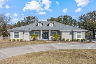 24429 Adair Ave, Sorrento, FL 32776