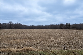 Lot 2 New Milford (5 33 Ac), Rootstown, OH 44272