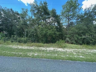 920 W Rum Place, Citrus Springs, FL 34434