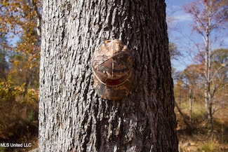 0 County Road 115, Carrollton, MS 38917