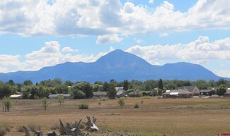 Lot B Tucker Ln, Cortez, CO 81321