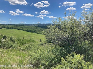 0 County Road 126 Unit 22-2437, Bedford, WY 83112