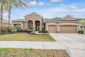 19230 Climbing Aster Dr, Tampa, FL 33647