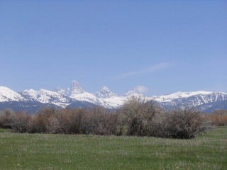LOT 19 Leigh Meadows Ln, Tetonia, ID 83452
