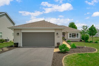 1611 Saddle Run Ln, Beecher, IL 60401