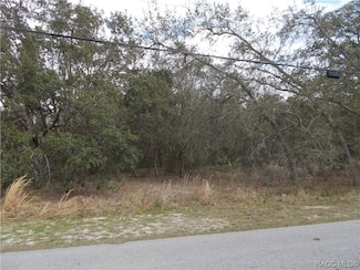979 W Pearson St, Hernando, FL 34442
