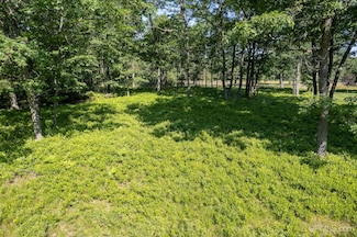 TBD Tipperary Rd, Gladstone, MI 49837