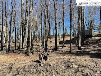 493 Saint Andrews Rd, Beech Mountain, NC 28604