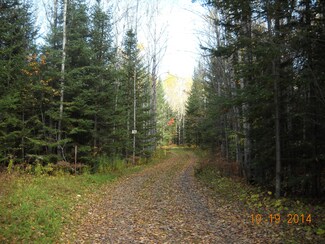 0 M-32 Unit 293360, Hillman, MI 49746