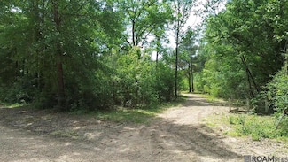 Tract 2-C-1 Bryce Hyde Rd, Roseland, LA 70456