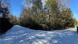 0 Driftwood Dr, Albrightsvlle, PA 18210