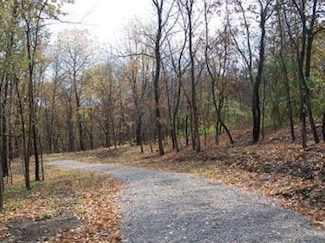 Lot #6 Thirty Foot Trail Rd, Oglesby, IL 61348