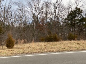 Lot 6 Missouri 76, Kirbyville, MO 65679