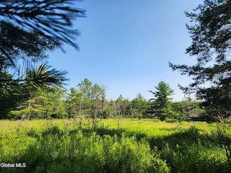 L30 Skyline Dr, Delanson, NY 12053