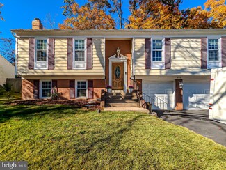 8118 Viola St, Springfield, VA 22152