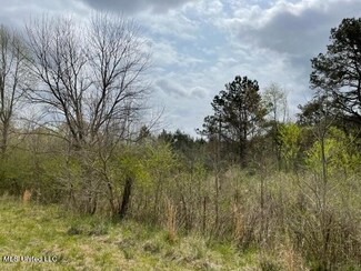 0 Bounds Rd, Forest, MS 39074