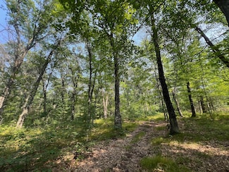 xxxxx Mclain Rd, Grantsburg, WI 54840