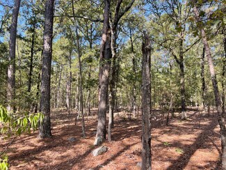 15 Antlers Rd, Antlers, OK 74523