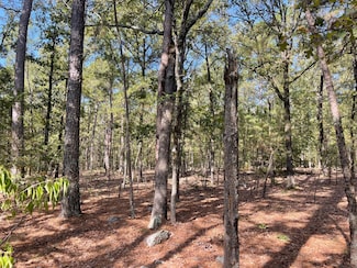15 Antlers Reserve Rd, Antlers, OK 74523