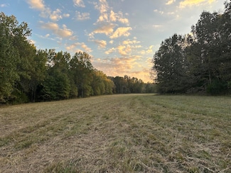 000 County Road 160, King Township, MO 63941