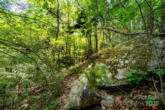 00000 Foster Hill Dr Unit 3, Hendersonville, NC 28739